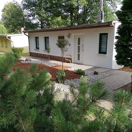 Neudorf  Ferienhaus Regina מראה חיצוני תמונה